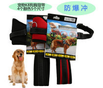 金色品質(zhì)，寵愛(ài)無(wú)價(jià) 探索高端寵物用品世界